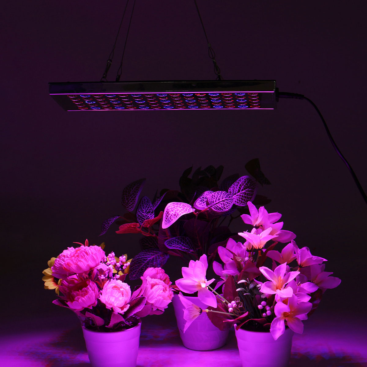 800W-LED-Grow-Light-Full-Spectrum-Growing-Plant-Lamp-For-Hydroponics-Veg-Indoor-1807202-7