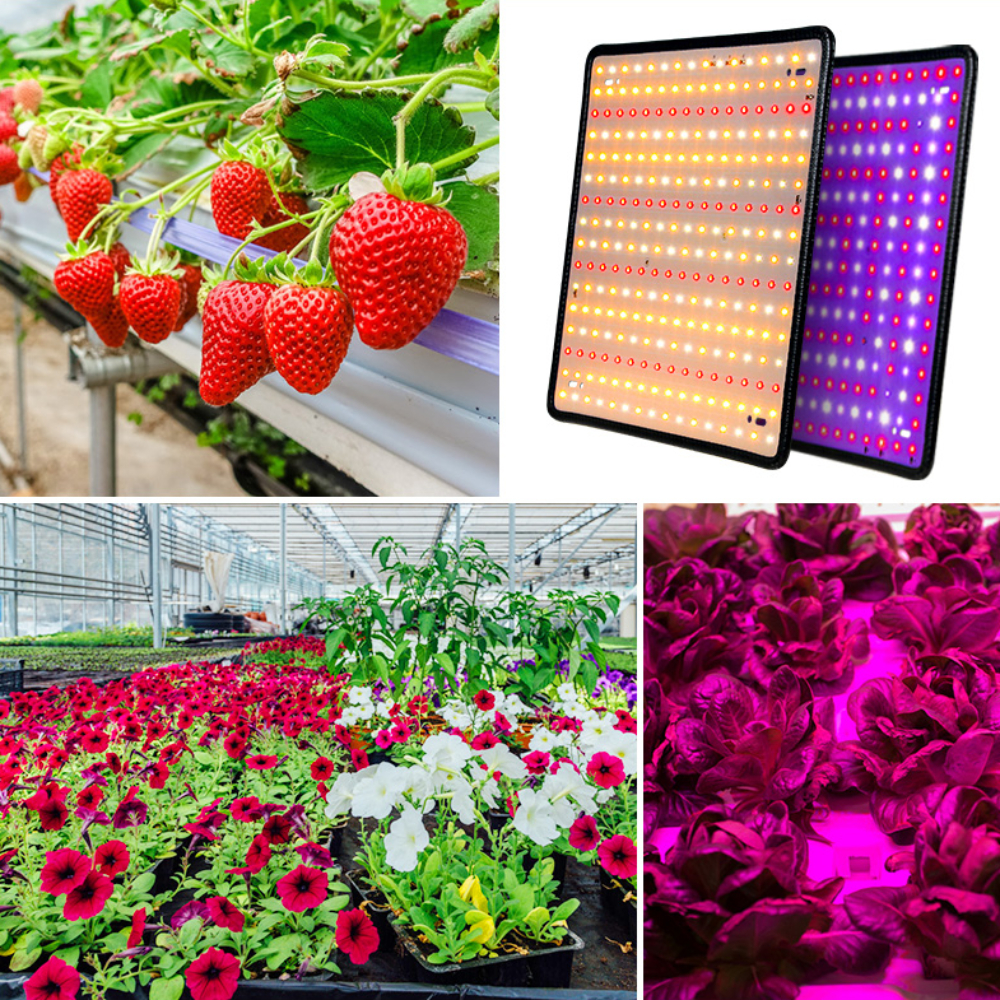 AC85-265V-35W-256LED-Ultra-Thin-Full-SpectrumSun-Light-LED-Grow-Light-Quantum-Plant-Light-USEU-Plug-1771827-2