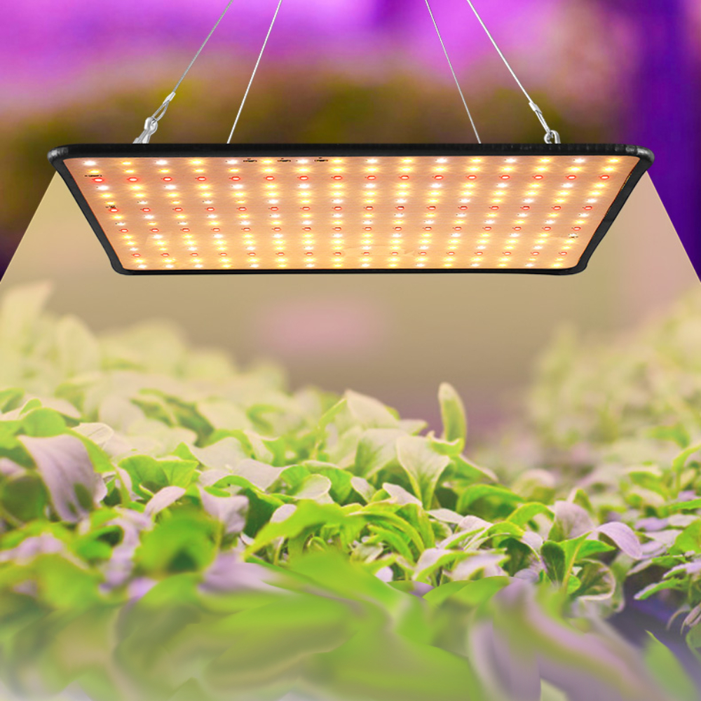 AC85-265V-35W-256LED-Ultra-Thin-Full-SpectrumSun-Light-LED-Grow-Light-Quantum-Plant-Light-USEU-Plug-1771827-3