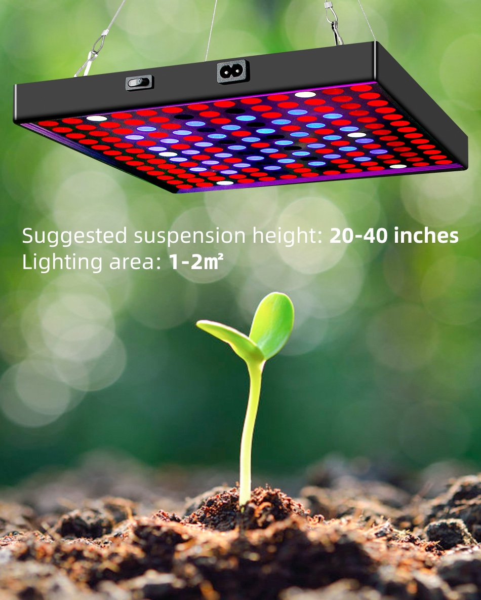 AC85V265V-81LED169LED-Full-Spectrum-Grow-Light-Plant-Light-with-Hanging-Kit-for-Greenhouse-Farms-1893885-7