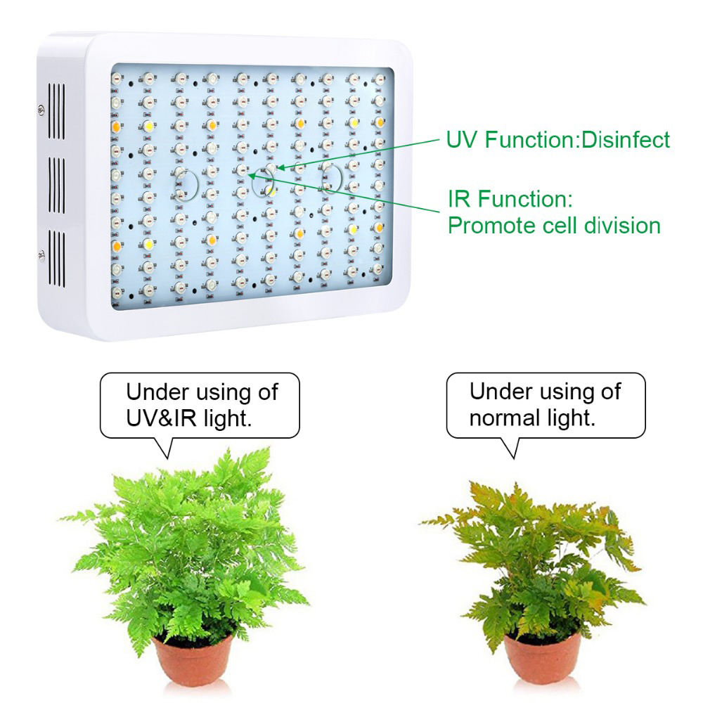 Bigin-Double-Chips-LED-Grow-Light-600W800W1200W-Full-Spectrum-Grow-Lamp-for-Greenhouse-Hydroponic-In-1252194-4