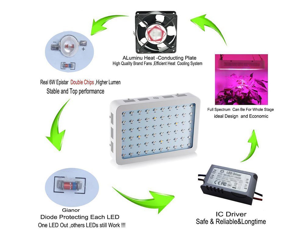 Bigin-Double-Chips-LED-Grow-Light-600W800W1200W-Full-Spectrum-Grow-Lamp-for-Greenhouse-Hydroponic-In-1252194-5