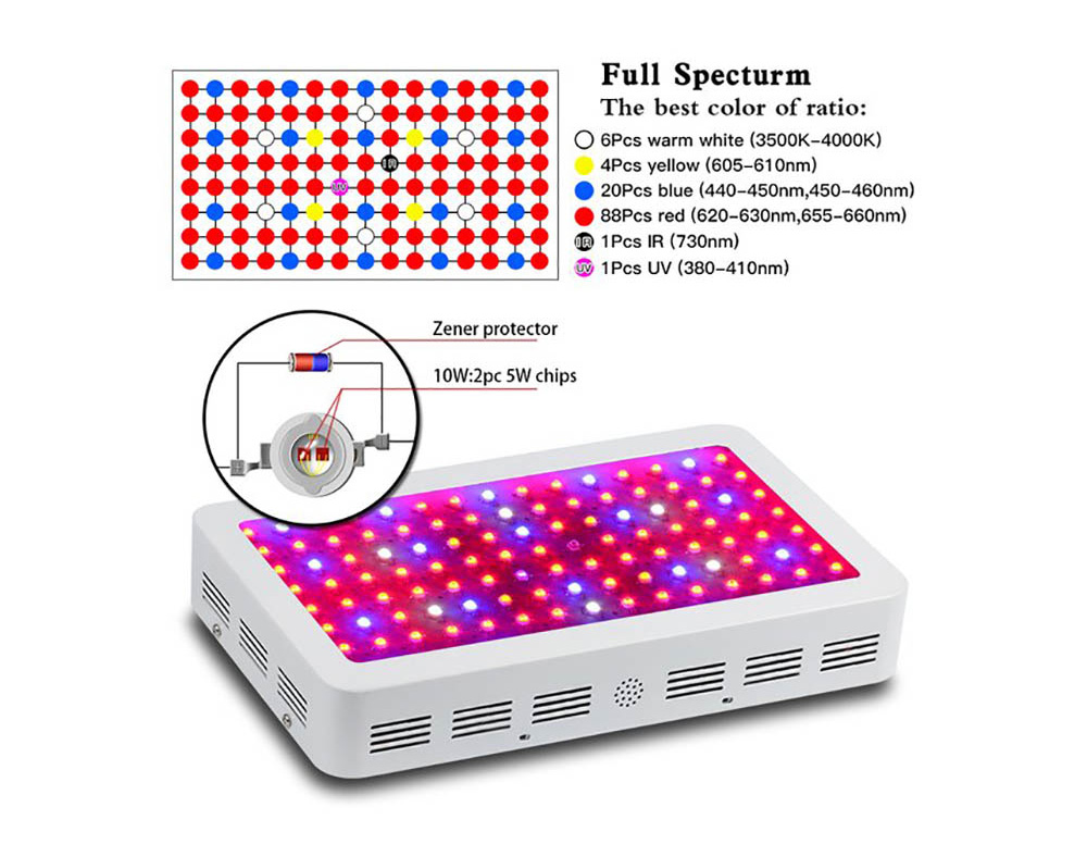 Bigin-Double-Chips-LED-Grow-Light-600W800W1200W-Full-Spectrum-Grow-Lamp-for-Greenhouse-Hydroponic-In-1252194-6