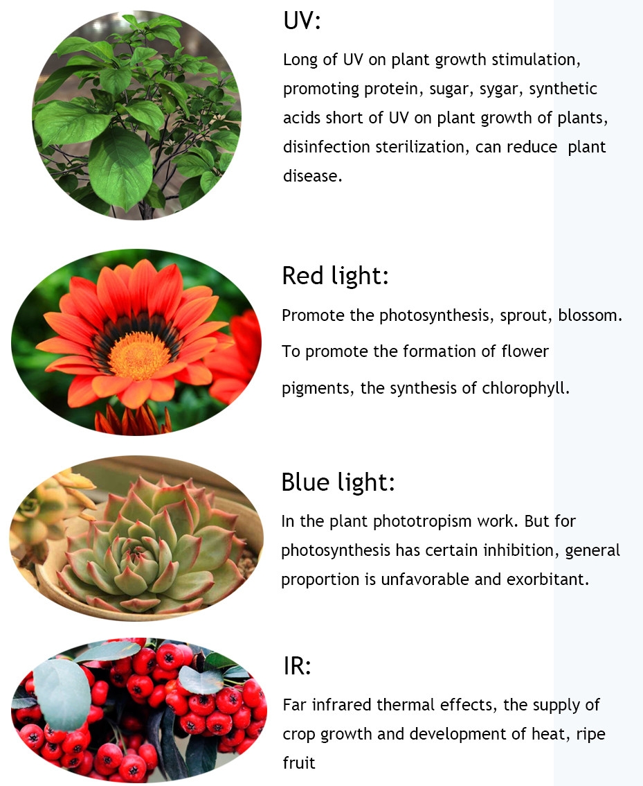 Bigin-X4-1200W-Integrated-Light-LED-Grow-Light-Full-Spectrum-LED-Plant-Growing-Lamp-with-UVIR-for-Gr-1293909-8