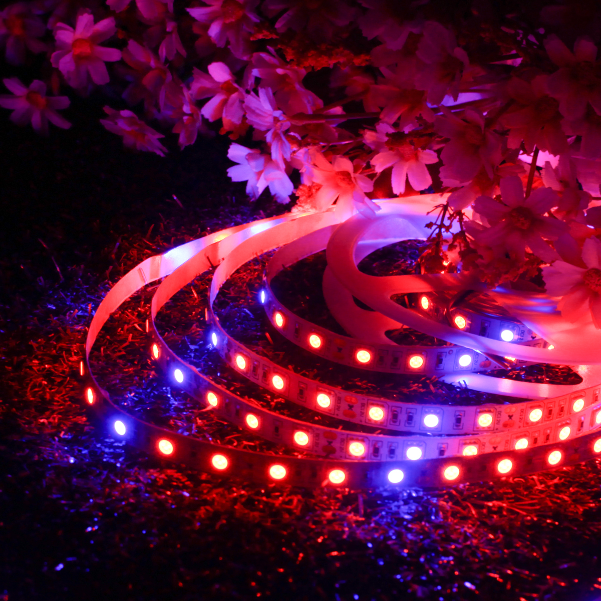 DC12V-Non-waterproof-5M-RedBlue-41-SMD5050-Full-Spectrum-LED-Strip-Grow-Light--Power-Supply-1282378-7