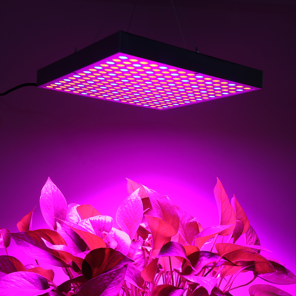Full-Spectrum-30W-Panel-225LED-Grow-Light-Growing-Lamp-for-Indoor-Seedling-Greenhouse-Plant-Flowerin-1758637-2