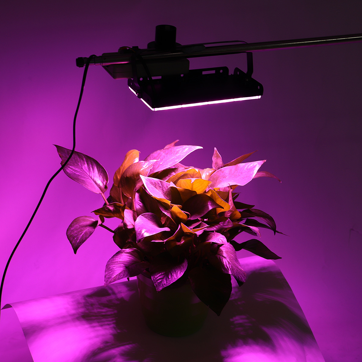 Full-Spectrum-50-LED-Grow-Light-Flood-Lighting-Lamp-for-Plants-1627786-2