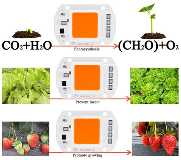 LUSTREON-1X-5X-10X-30W-LED-Full-Spectrum-Plant-Grow-Light-DIY-COB-Chip-AC220V-1145995-7