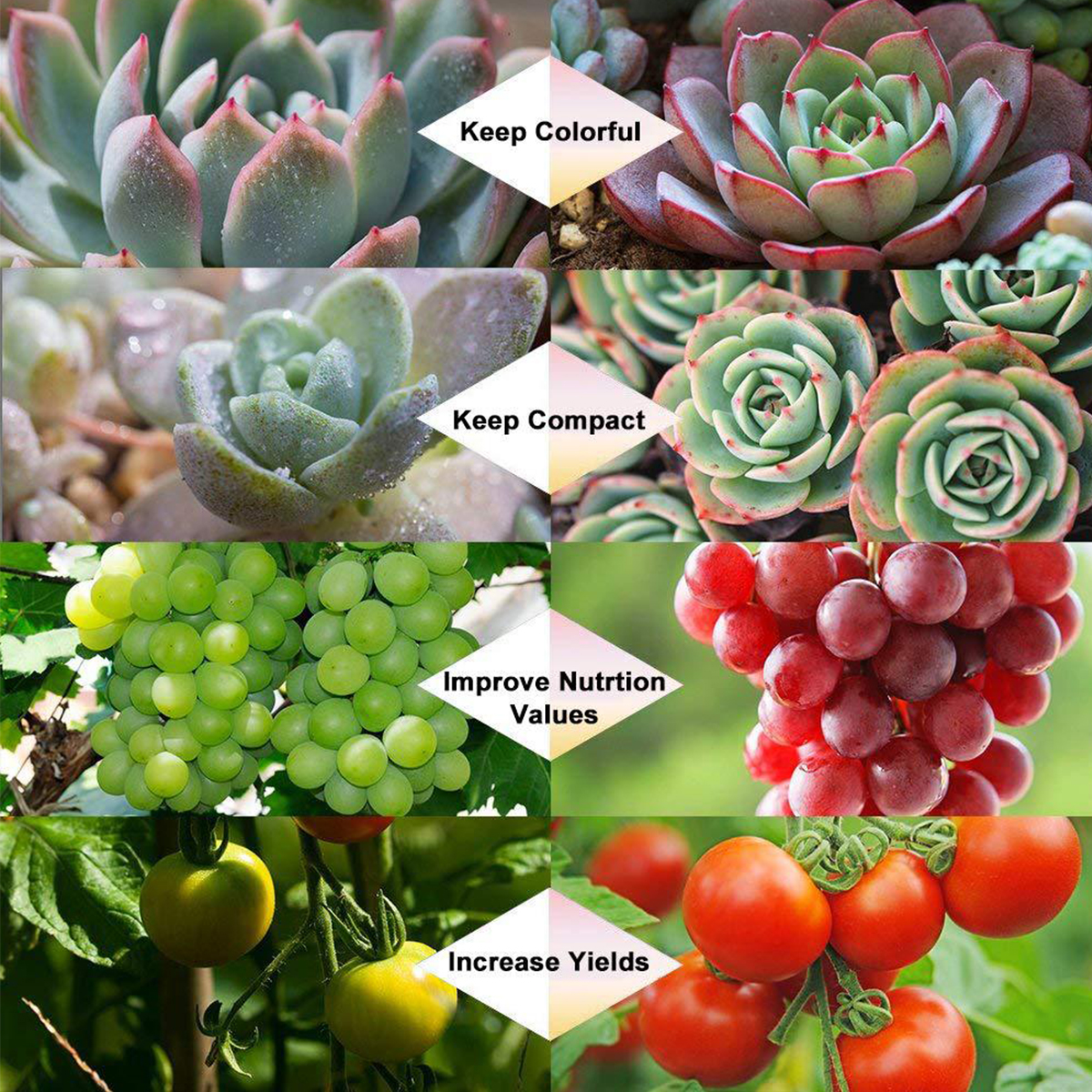 Three-Heads-USB-LED-Timing-Plant-Grow-Light-Growth-Phyto-Sunlight-Flower-Growing-Lamp-1709983-9