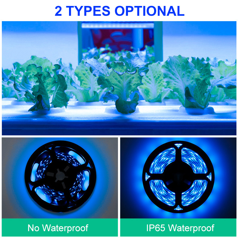 USB-Hand-Scan-Sensor-Grow-Light-Strip-Waterproof-Grow-Light--Ice-Blue-Spectrum-05M-2M-3M-LED-Phyto-L-1791811-6