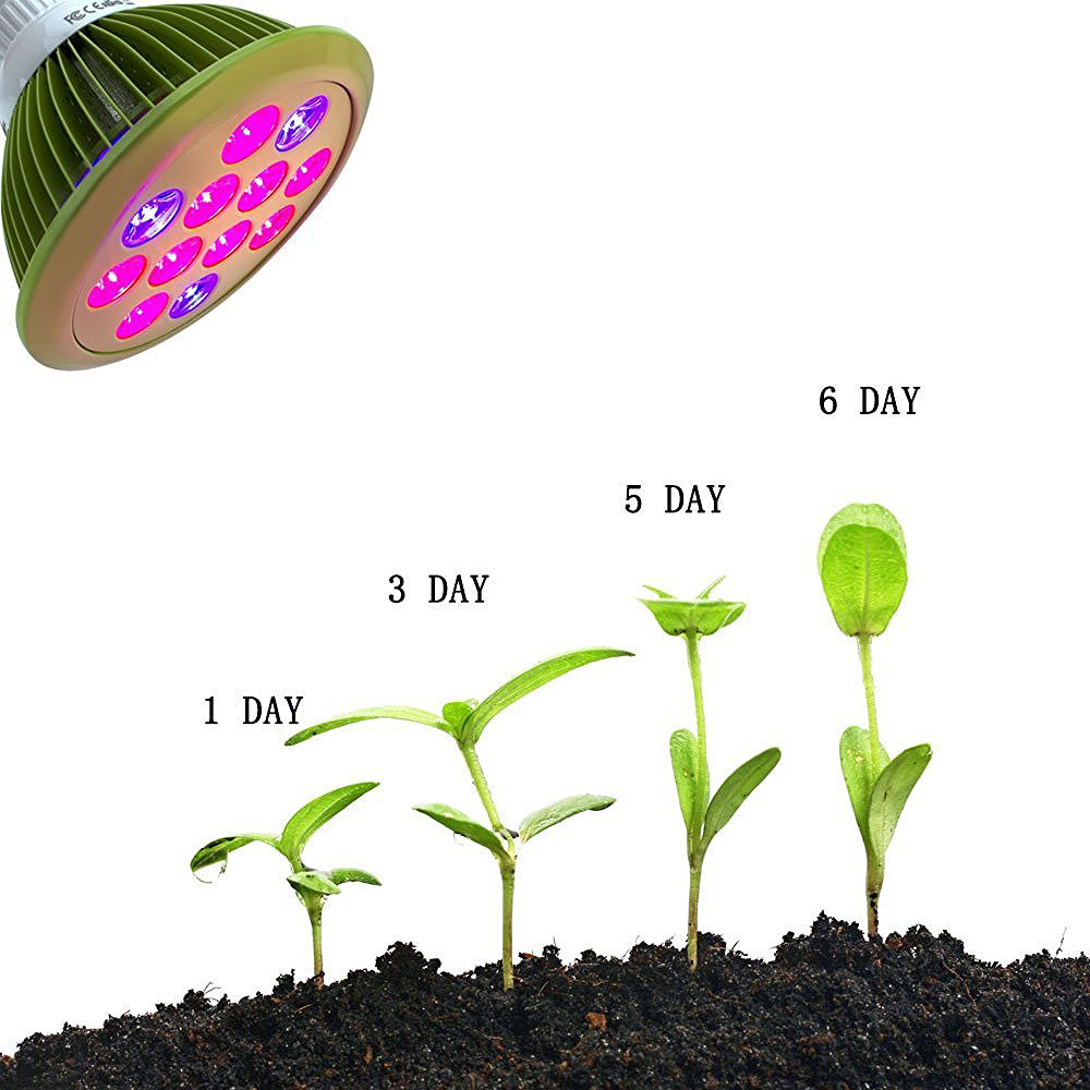 ZX-12W-24W-E27-Plant-LED-Grow-Lamp-Bulb-Garden-Greenhouse-Plant-Seedling-Light-1094345-4