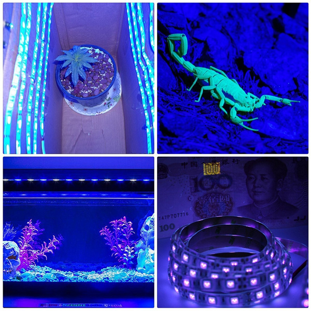 5M-36W-3528SMD-Waterproof-Flexible-Purple-300-LED-Strip-Light-with-DC-Connector-DC12V-1309473-9