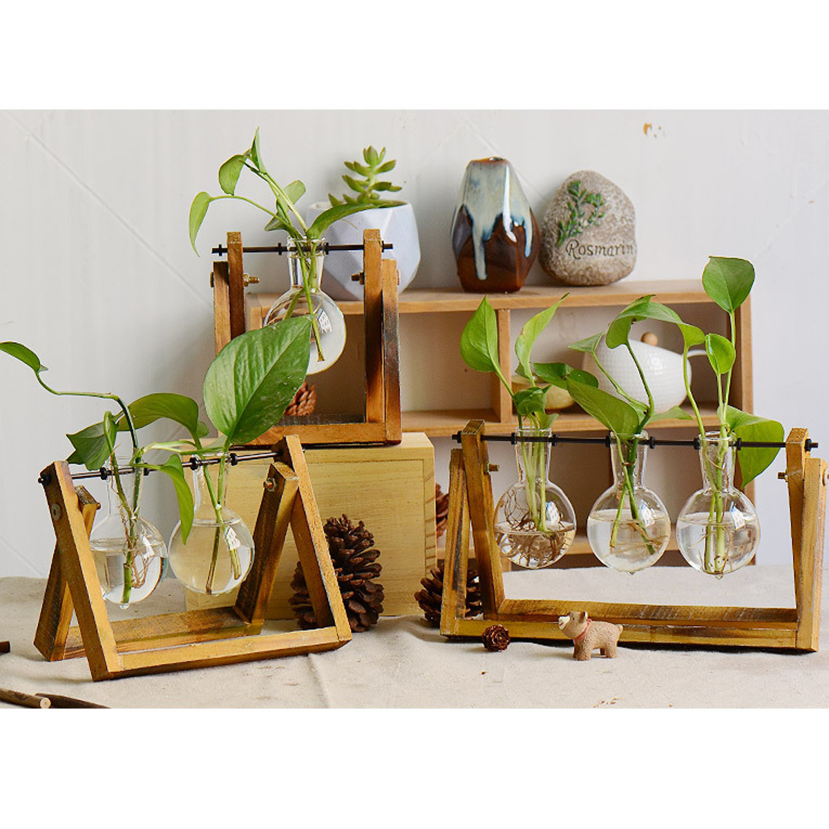 Wooden-Stand-Glass-Terrarium-Container-Hydroponic-System-Plant-Planter-Flower-Pot-Desk-Decoration-1436739-8