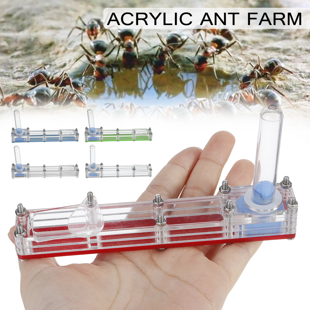 Long-Acrylic-Ant-Farm-Educational-Nest-Formicarium-Live-House-DIY-Feeding-Area-Acrylic-Farm-Insect-V-1585096-2