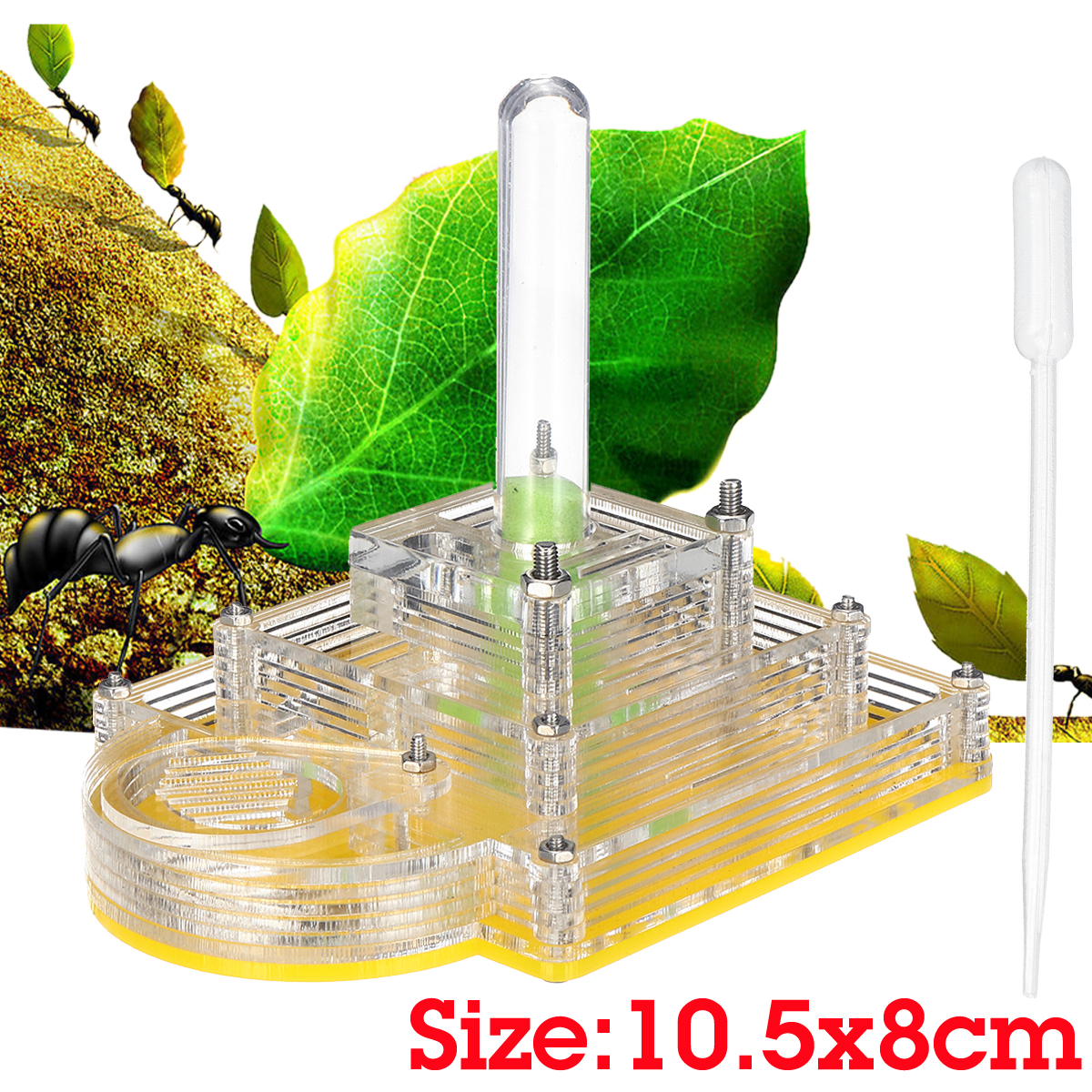 Acrylic-Ant-Feeding-Nest-Box-Moisturizing-Ant-Case-WIth-Dropper-1468051-4