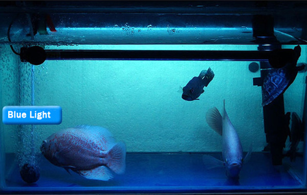 18CM-Aquarium-Fish-Tank-Waterproof-LED-Light-Bar-Submersible-927279-2
