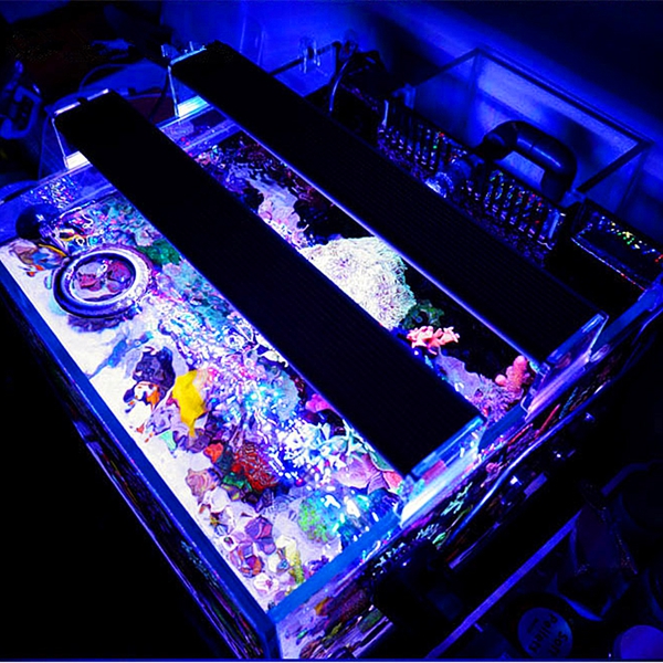 A201M-12W-20CM-5730-36SMD-1400LM-LED-Coral-SPS-LPS-Aquarium-Sea-Reef-Fish-Tank-Light-Lamp-1057819-10