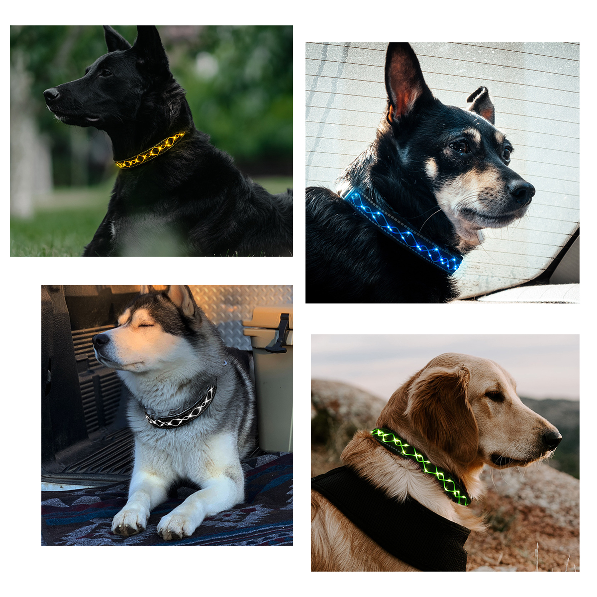 LED-Dog-Pet-Collar-Flashing-Luminous-Safety-Night-Light-Flashing-Adjustable-1846192-10
