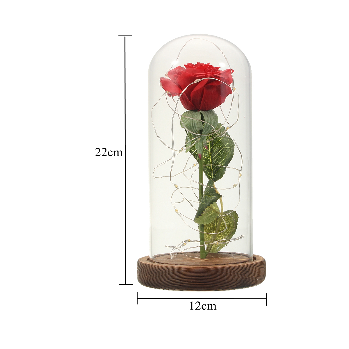 Red-Rose-Lights-Decorations-Beauty-Enchanted-Preserved-Red-Fresh-Rose-Glass-Cover-with-LED-Light-1256507-11