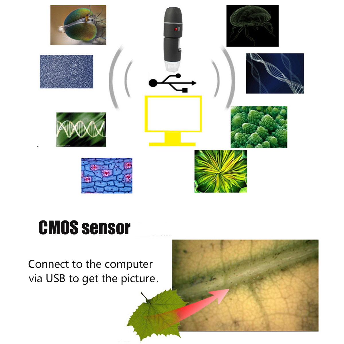 1600X-Zoom-8-LED-USB-Digital-Microscope-Hand-Held-Biological-Endoscope-with-Bracket-1222332-3