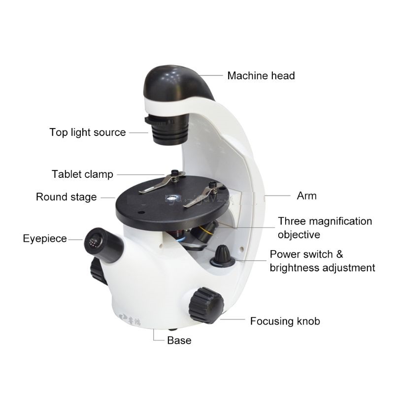 Monocular-Triple-4x-10x-20x-Coarse-40x-320x-Focusing-Home-School-Science-Educational-Student-Mini-In-1587646-7