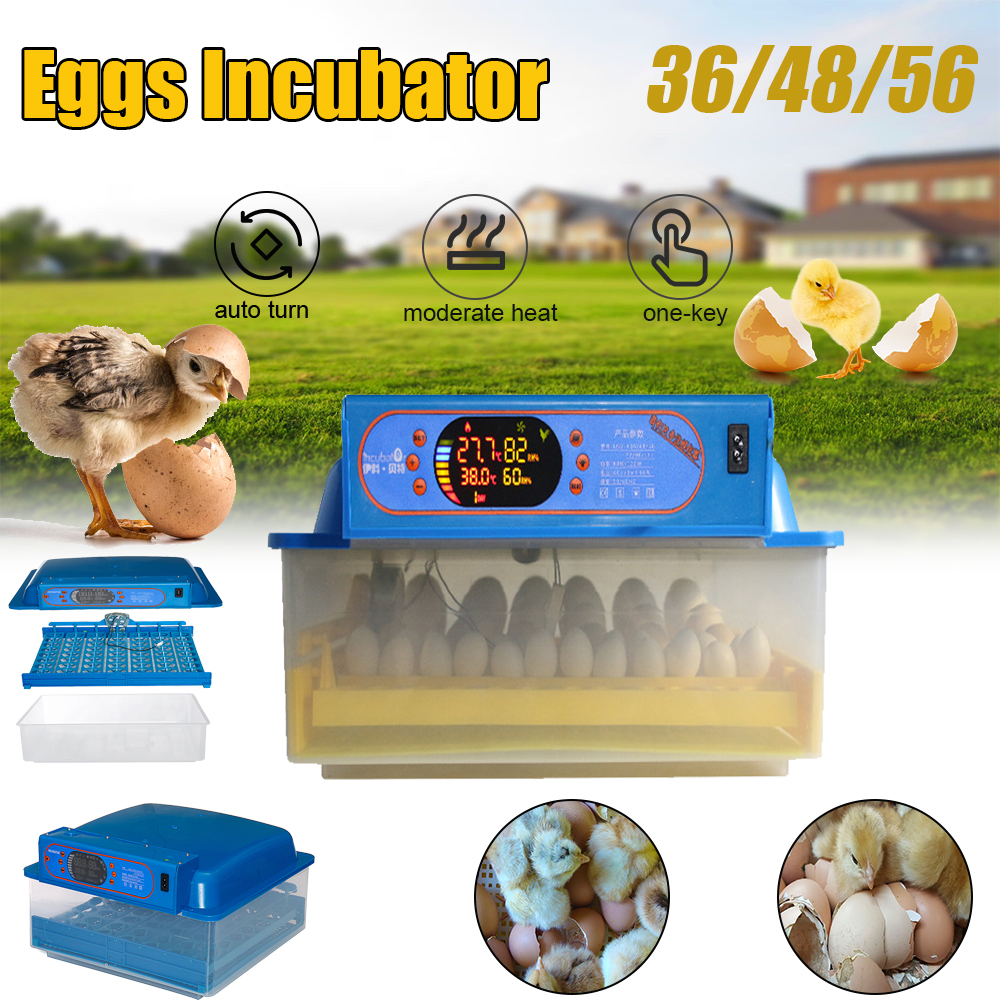 220V-364856-Egg-Incubator-Digital-Fully-Automatic-Chicken-Hatching-Turning-Machine-1533489-2