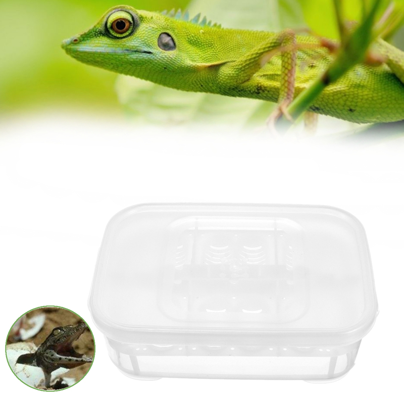 12-Reptiles-Eggs-Incubator-Tray-Gecko-Snake-Bird-Amphibians-Hatching-Case-Breeding-Tools-Box-1216634-3