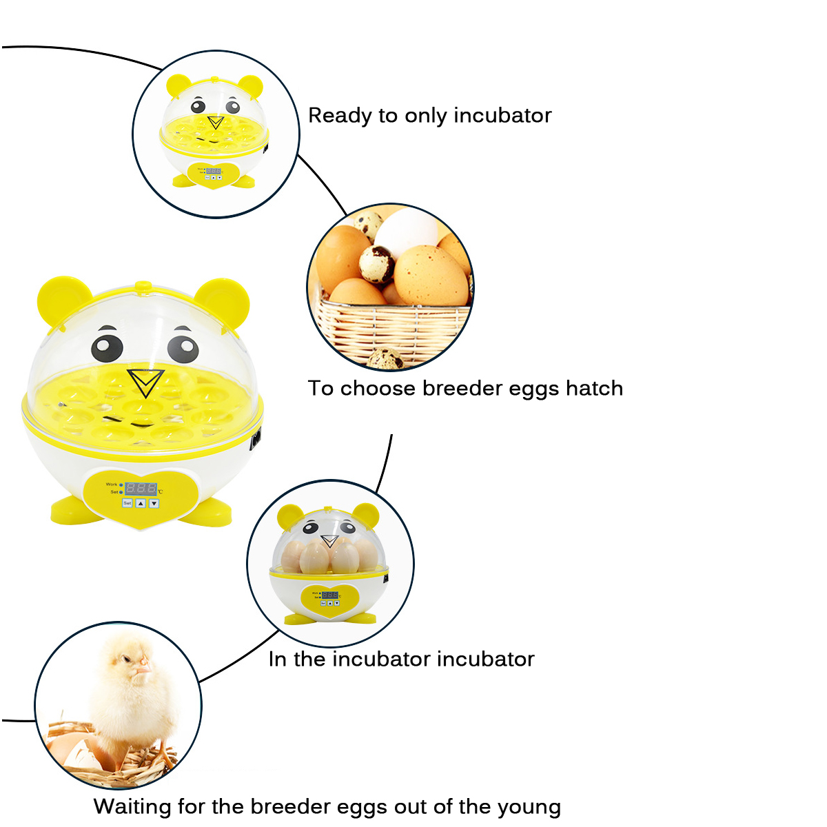 9-Eggs-Incubator-Chicken-Digital-Automatic-LED-Science-Kids-Home-Experiment-Tools-1727638-7