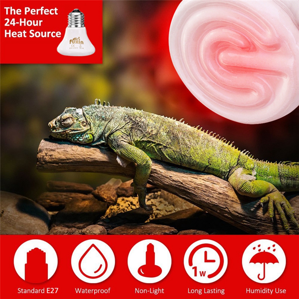 75W-Infrared-Ceramic-Emitter-Heat-E27-Light-Bulb-Reptile-Pet-Brooder-With-Switch-Cover-AC110-AC220V-1308334-9