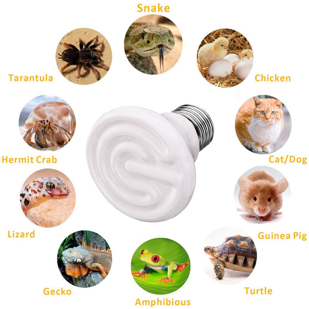 AC110-AC220V-100W-E27-Infrared-Ceramic-Emitter-Heat-Reptile-Pet-Light-Bulb-With-Lampholder-Switch-1308333-7