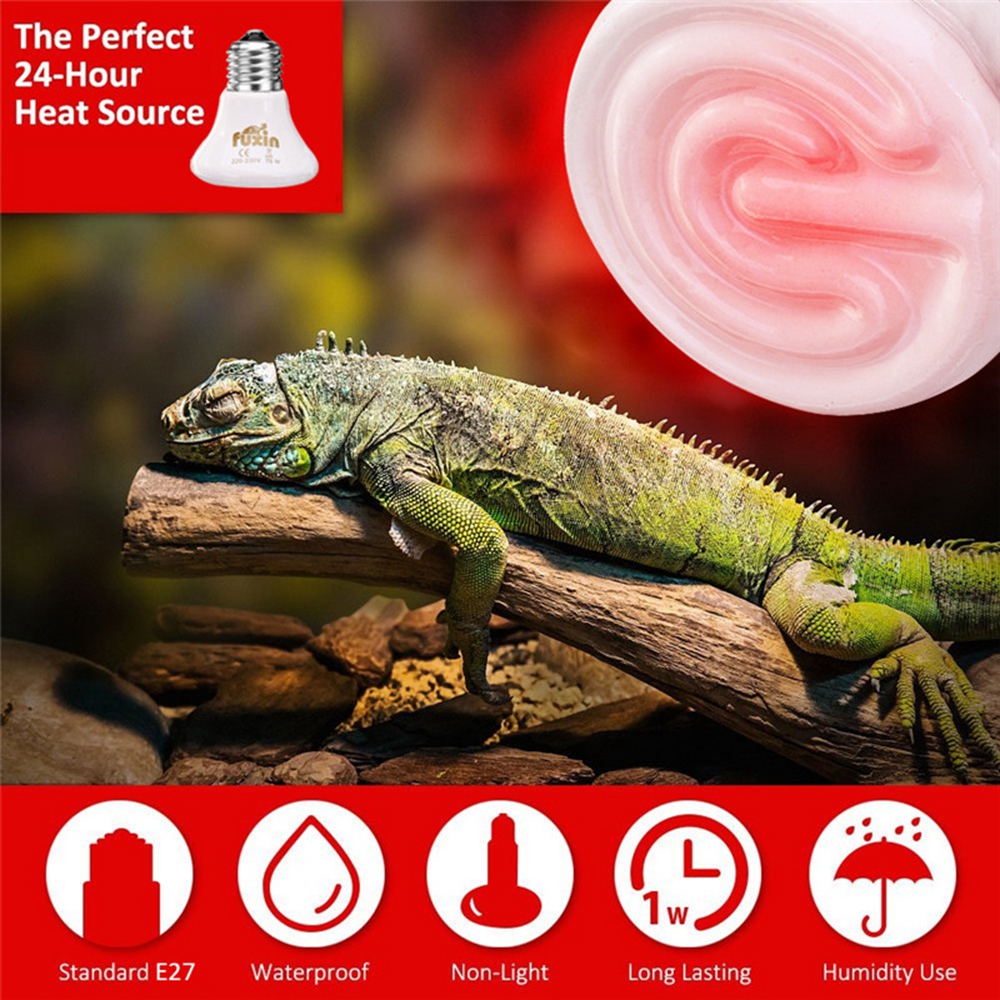 AC110-AC220V-100W-E27-Infrared-Ceramic-Emitter-Heat-Reptile-Pet-Light-Bulb-With-Lampholder-Switch-1308333-9