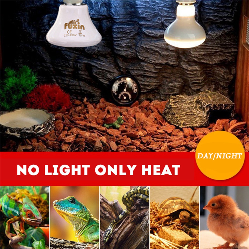 AC110-AC220V-100W-E27-Infrared-Ceramic-Emitter-Heat-Reptile-Pet-Light-Bulb-With-Lampholder-Switch-1308333-10