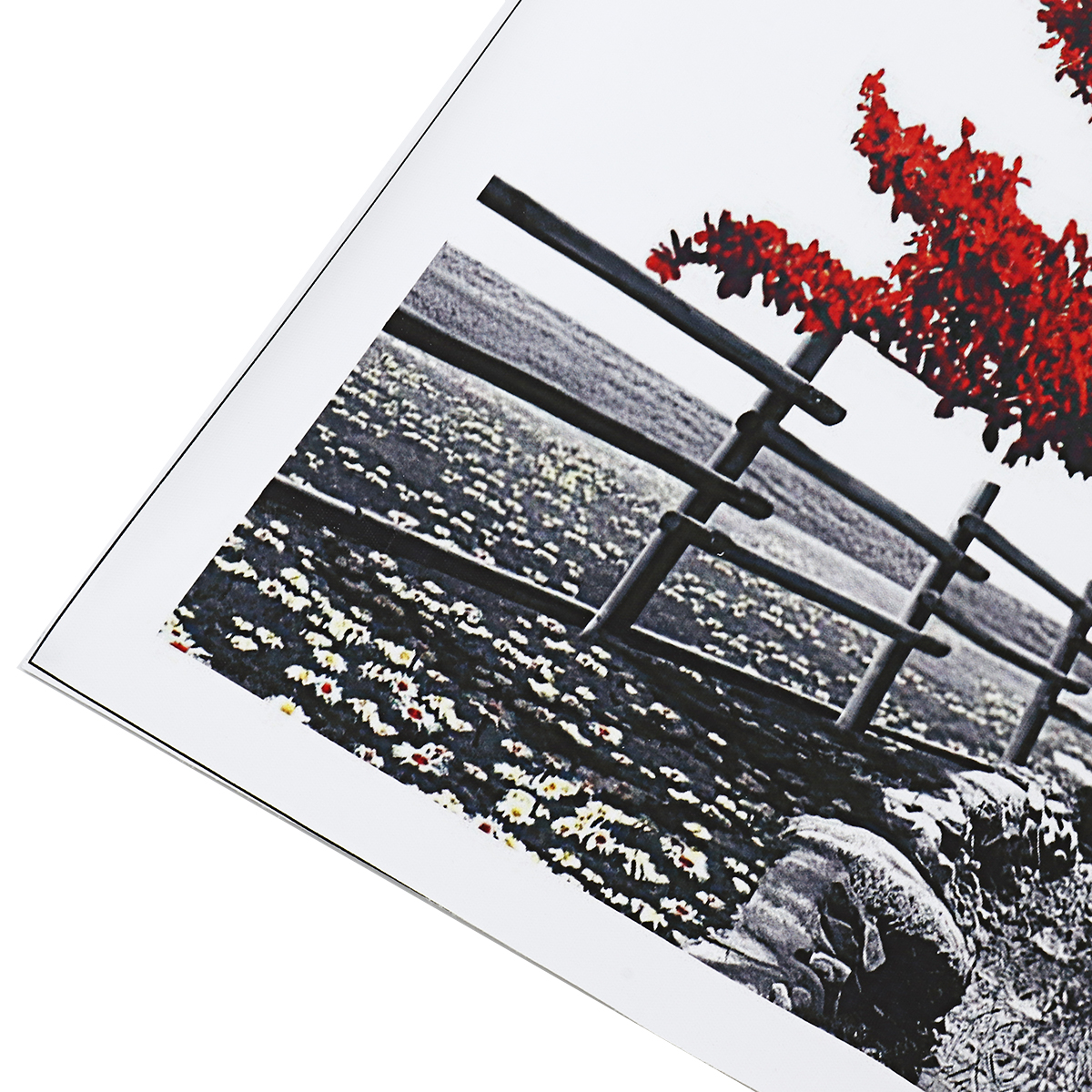 1-Piece-Big-Tree-Canvas-Painting-Wall-Decorative-Print-Art-Picture-Unframed-Wall-Hanging-Home-Office-1785043-22