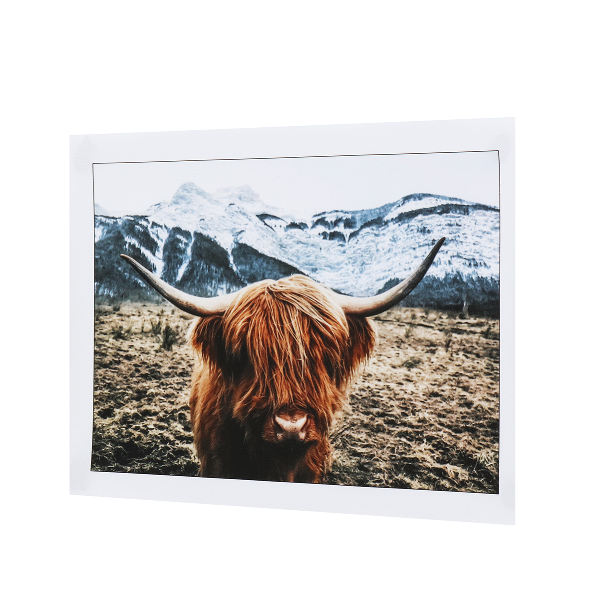 1-Piece-Canvas-Print-Painting-Highland-Cow-Poster-Wall-Decorative-Printing-Art-Pictures-Frameless-Wa-1743443-11