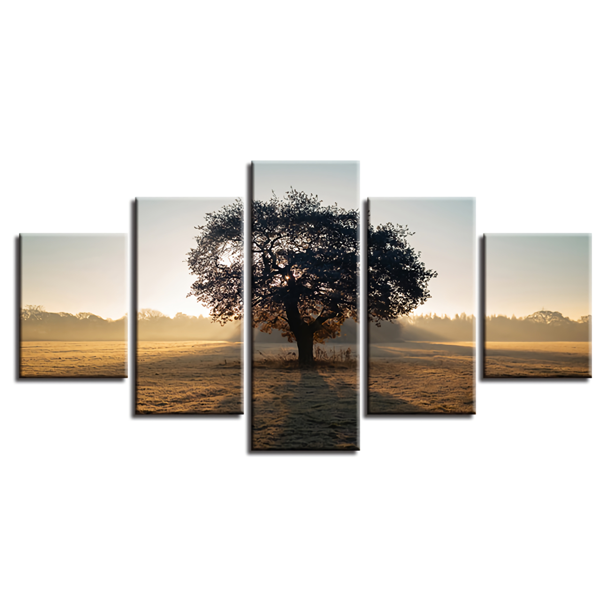 5Pcs-Wall-Decorative-Paintings-Sunshine-Tree-Canvas-Print-Art-Pictures-Frameless-Wall-Hanging-Decora-1733221-1