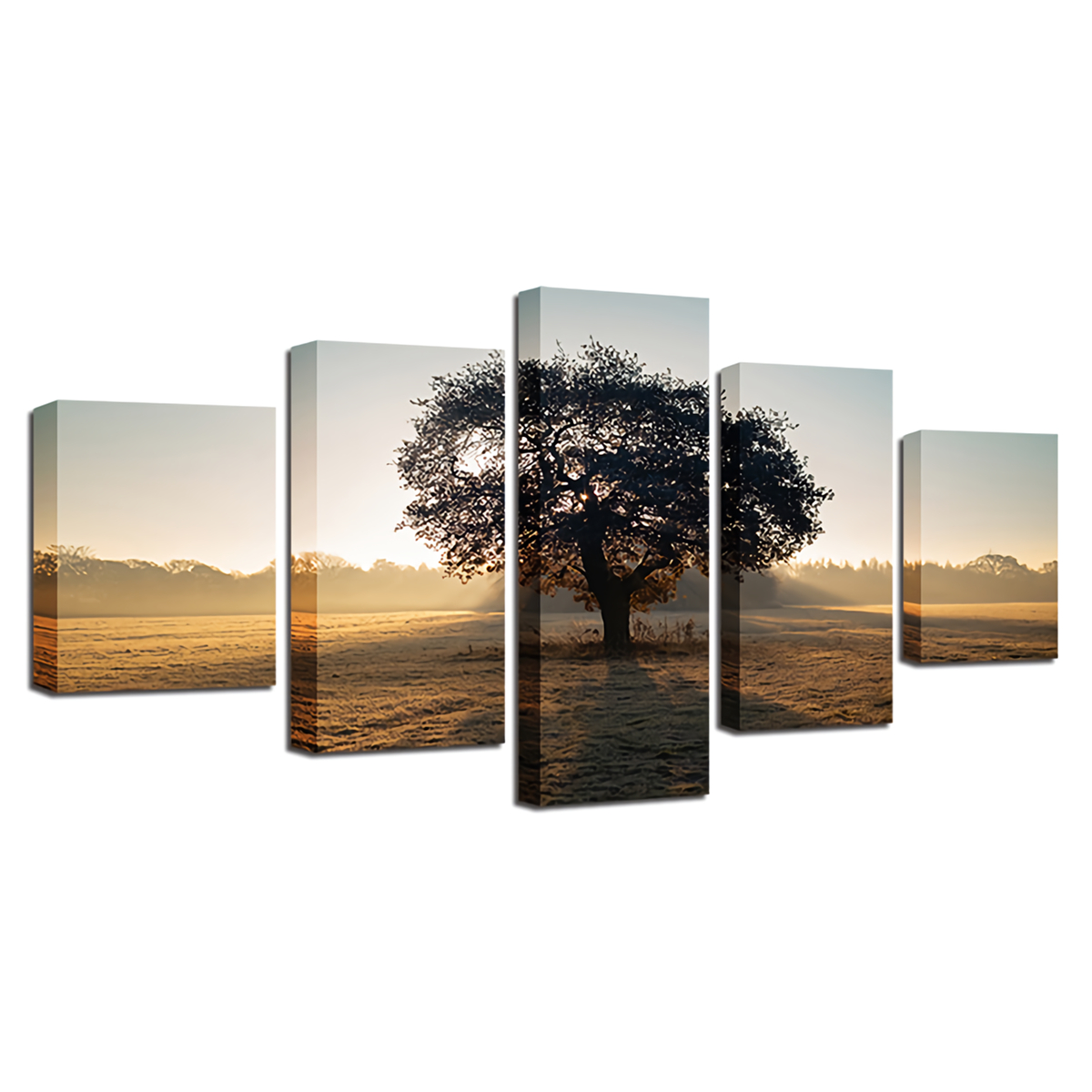 5Pcs-Wall-Decorative-Paintings-Sunshine-Tree-Canvas-Print-Art-Pictures-Frameless-Wall-Hanging-Decora-1733221-2