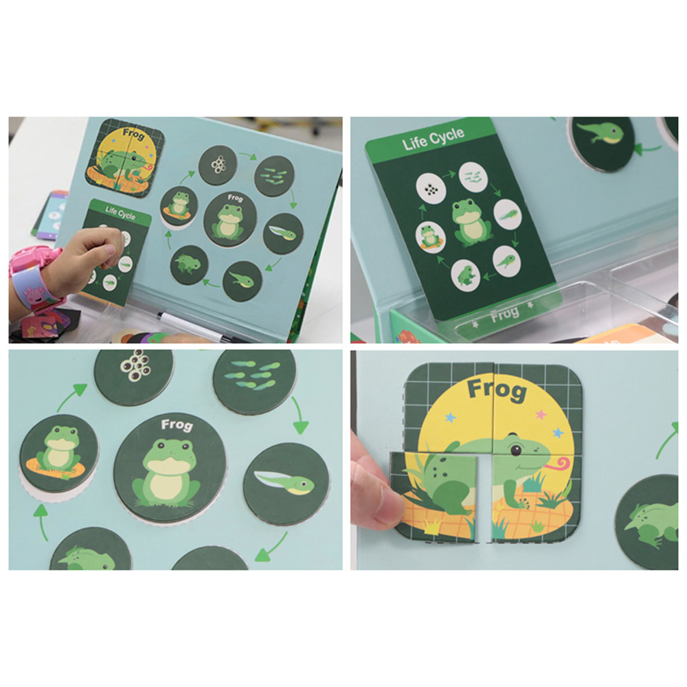 Magnetic-Puzzle-Leaning-Life-Cycle-Animal-Human-Growth-Educational-Kids-Toys-for-Kids-Gift-1636847-4