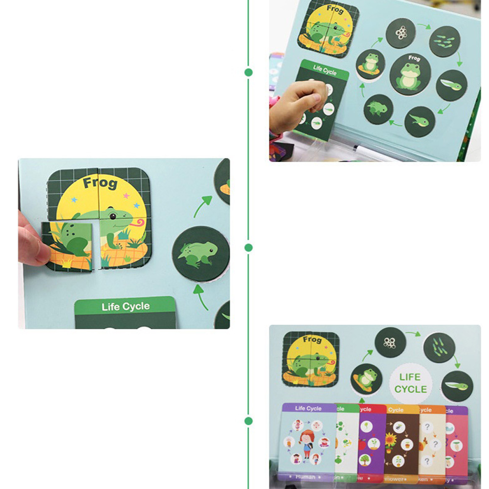 Magnetic-Puzzle-Leaning-Life-Cycle-Animal-Human-Growth-Educational-Kids-Toys-for-Kids-Gift-1636847-5