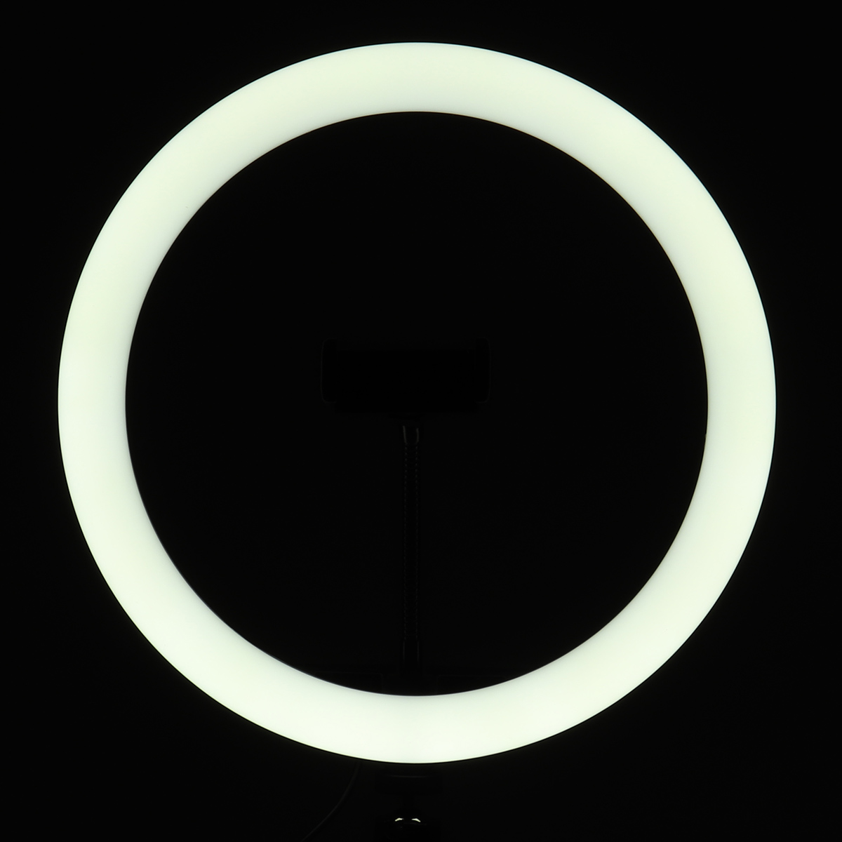 12-Inch-30cm-3000K-5500K-Dimmable-Remote-Control-LED-Ring-Light--3-Colors-Modes-Fill-Light-with-163c-1702027-12