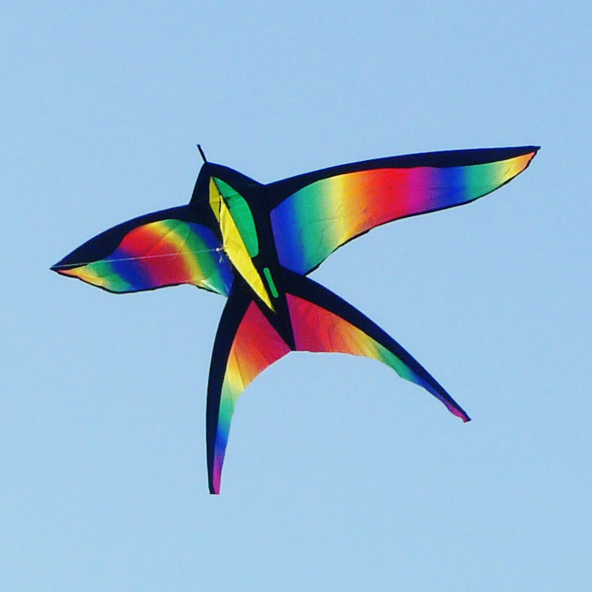 68in-Swallow-Kite-Bird-Kites-Single-Line-Outdoor-Fun-Sports-Toys-Delta-For-Kids-1130511-3