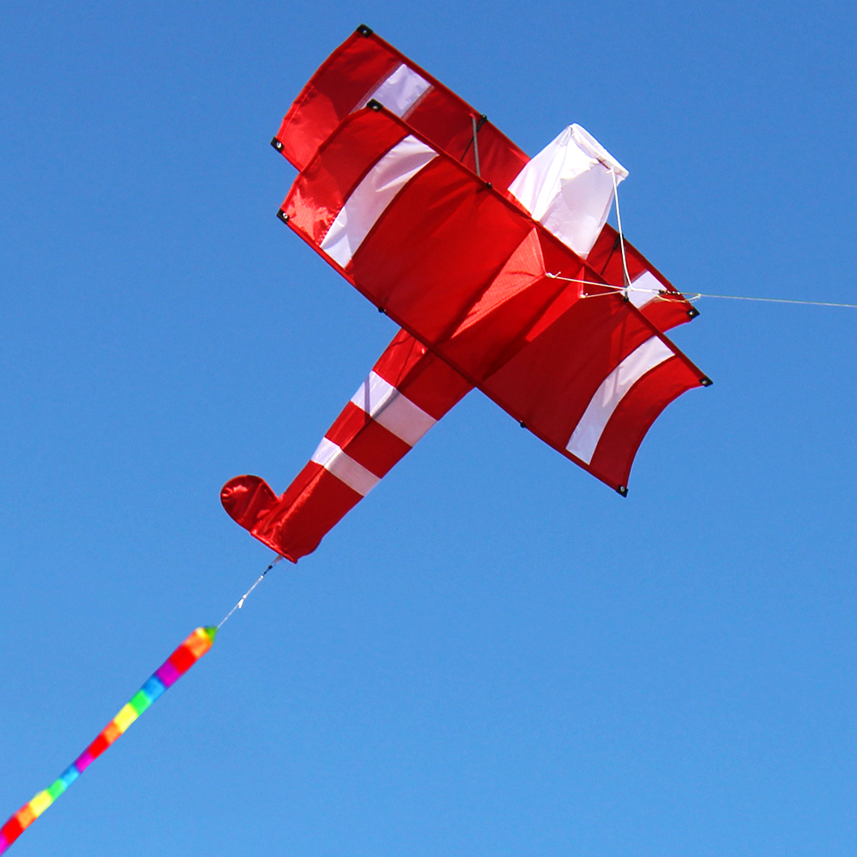 Colorful-3D-Aircraft-Kite-With-Handle-and-Line-Good-Flying-Gift-1610431-2