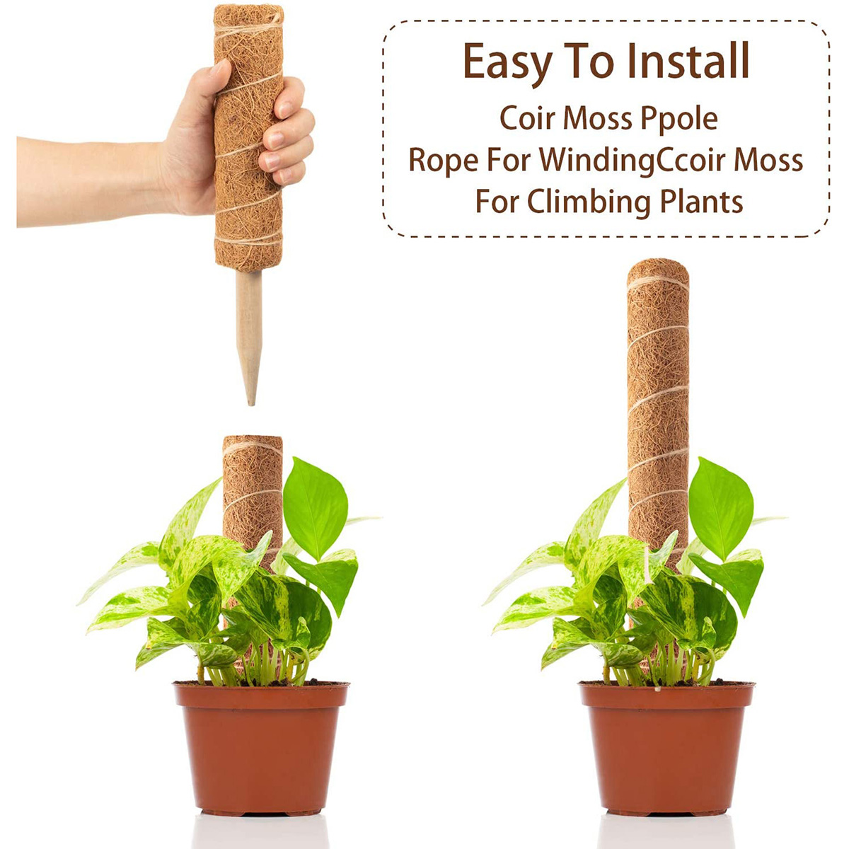 4-Pack-Coir-Totem-Pole-Plant-Coir-Moss-Stick-Totem-Pole-for-Climmbing-Plant-Support-Extension-Climbi-1824346-4