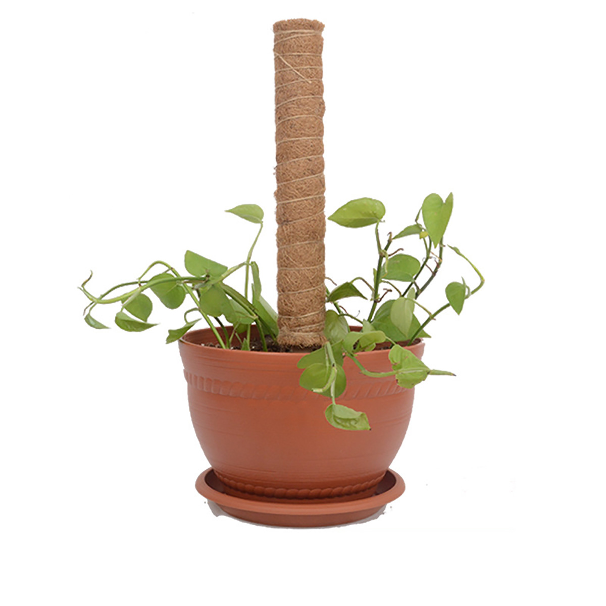 4-Pack-Coir-Totem-Pole-Plant-Coir-Moss-Stick-Totem-Pole-for-Climmbing-Plant-Support-Extension-Climbi-1824346-6
