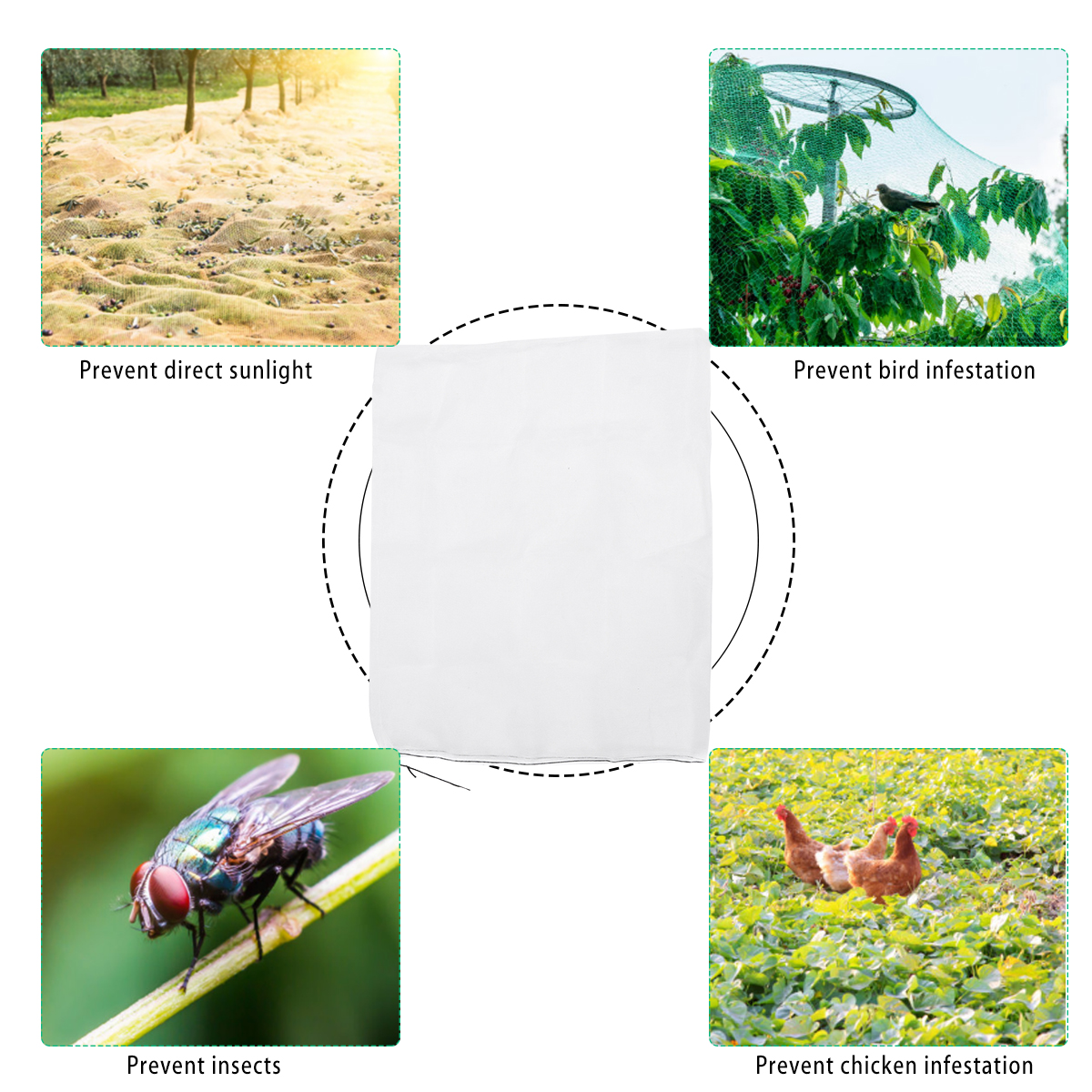 Garden-Crop-Plant-Net-Netting-Bird-Pest-Insect-Animal-Vegetable-Mesh-1834318-3
