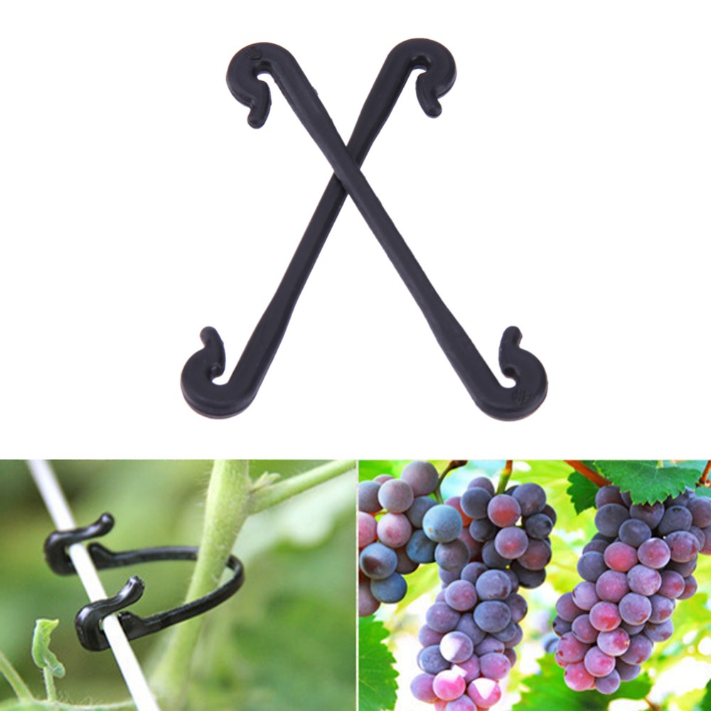 Garden-Tool-100pcs-Plastic-Grapes-Clips-Vegetable-Flower-Plant-Graft-Clamp-Grafting-Vines-Clipper-1259517-1