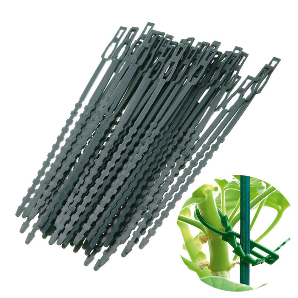 50Pcs-Adjustable-Plastic-Plant-Cable-Ties-Reusable-Cable-Ties-Garden-Tree-Climbing-Support-1710193-1