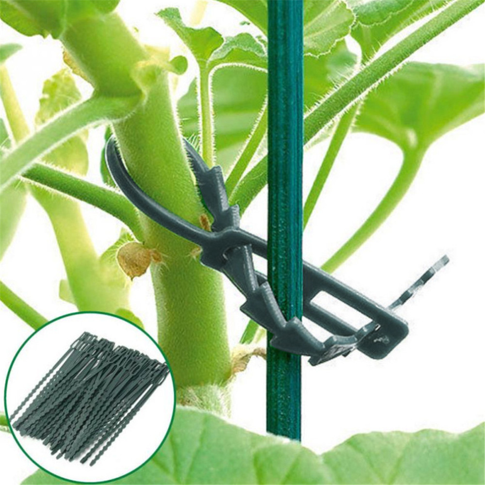 50Pcs-Adjustable-Plastic-Plant-Cable-Ties-Reusable-Cable-Ties-Garden-Tree-Climbing-Support-1710193-7