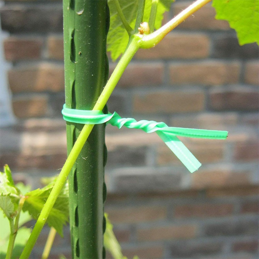 Garden-Tie-Plastic-Wire-Binding-Line-Climbing-Plants-Cable-Flower-Cucumber-Grape-Rattan-Holder-1710170-4