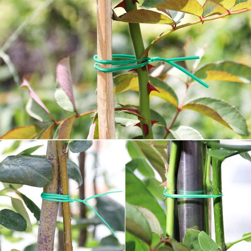 Garden-Tie-Plastic-Wire-Binding-Line-Climbing-Plants-Cable-Flower-Cucumber-Grape-Rattan-Holder-1710170-5
