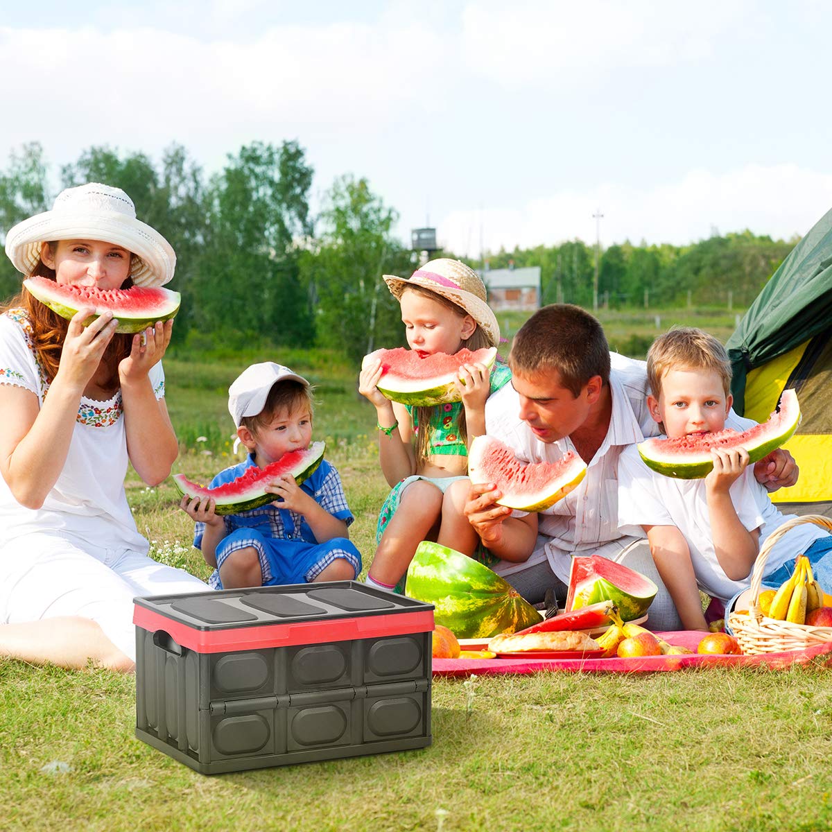 30L-Car-Trunk-Storage-Box-Foldable-Car-Storage-Box-1751674-2